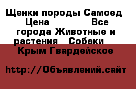 Щенки породы Самоед › Цена ­ 20 000 - Все города Животные и растения » Собаки   . Крым,Гвардейское